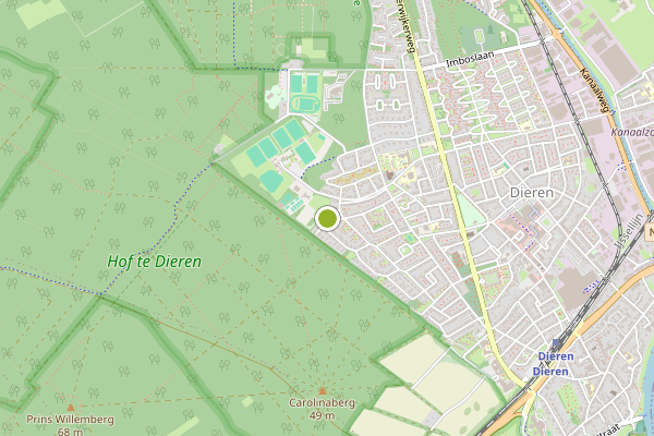 Ambulance-melding op Dieren op 3 augustus, kaart-overzicht