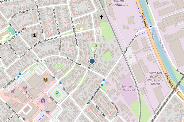 Politie-melding op Dr. de Visserstraat, Dieren op 21 juni, kaart-overzicht
