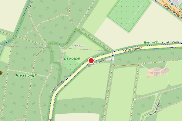 Brandweer-melding op Schelmseweg, Oosterbeek op 30 april, kaart-overzicht